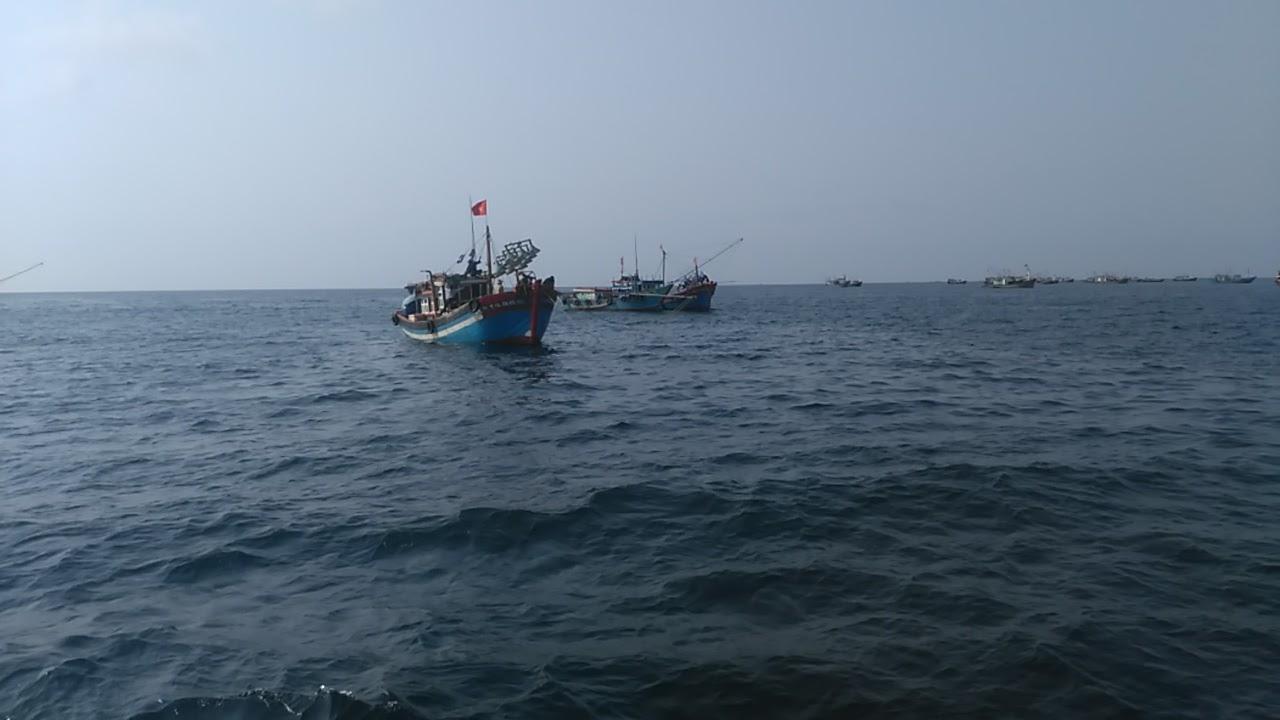 Xử phạt tàu cá vi phạm hành chính trong Khu bảo tồn biển đảo Cồn Cỏ