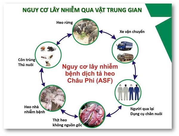 Toàn cảnh lễ phát động